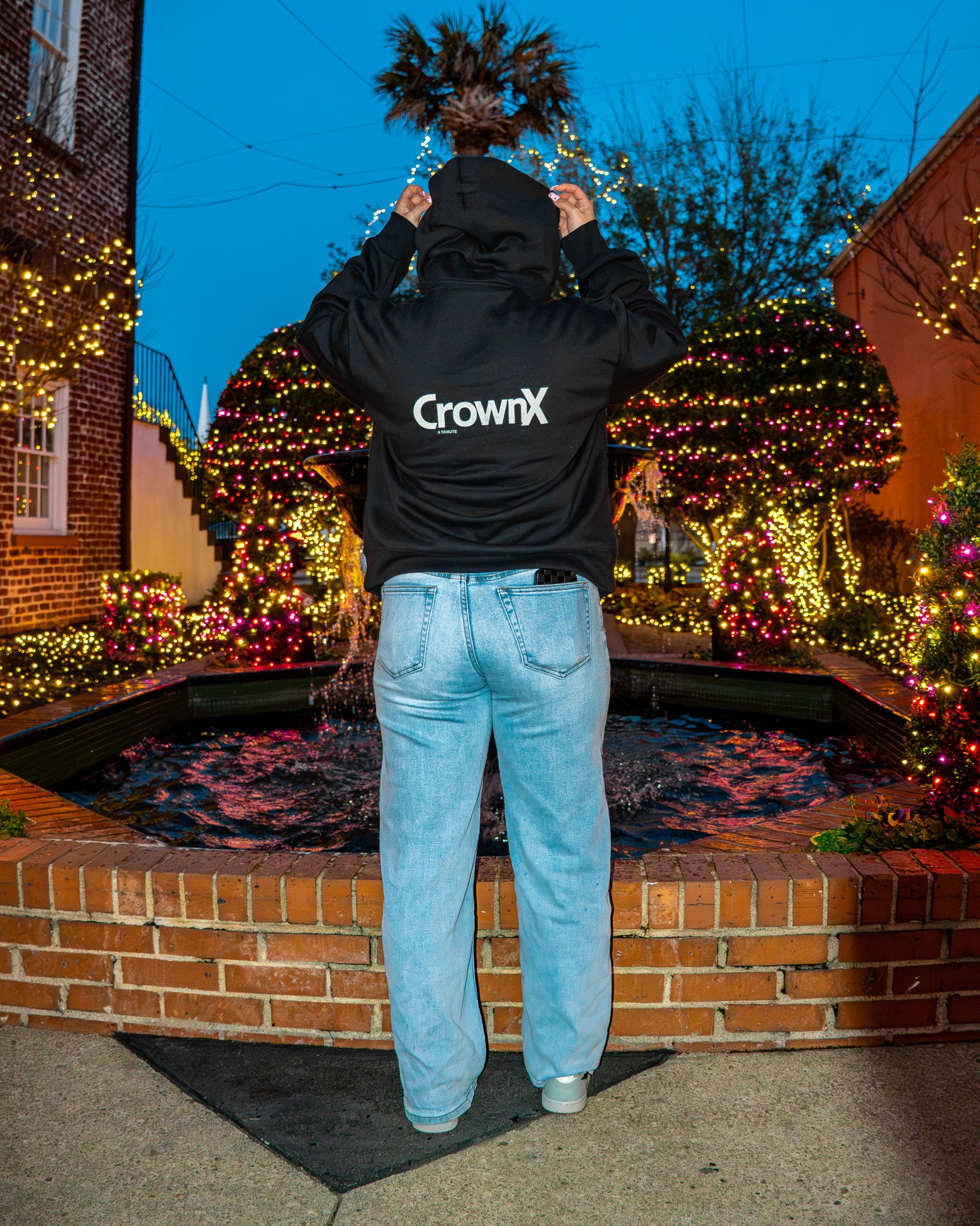 CROWNX HOODIE