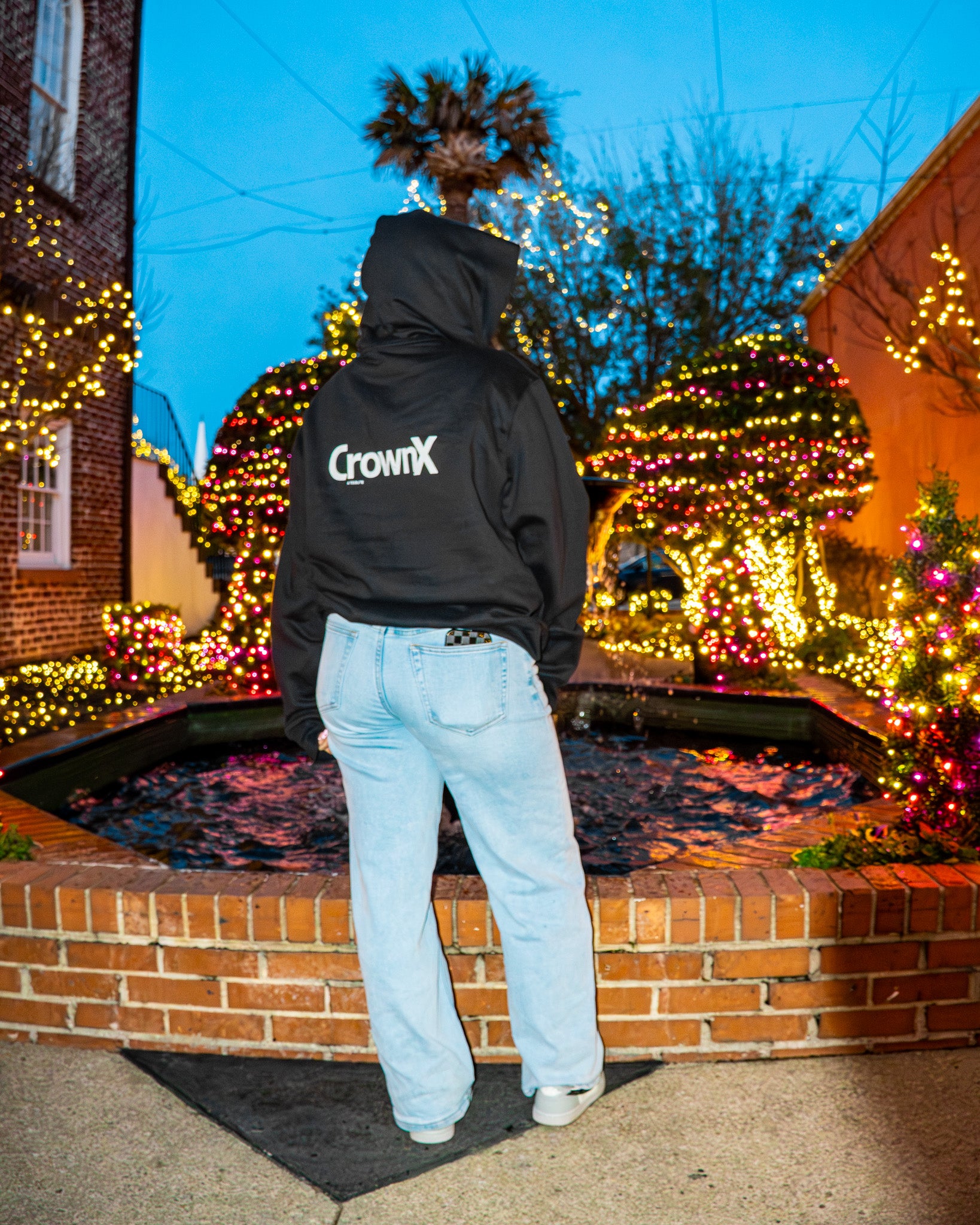 CROWNX HOODIE